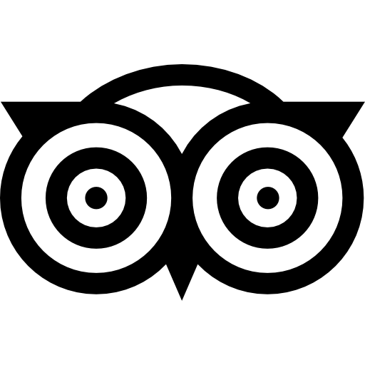 Trip Advisor Icon